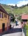 Balade en Alsace l'été