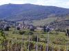Balade en Alsace l'été