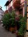 Balade en Alsace l'été