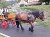 Balade en Alsace l'été