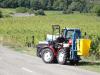 Balade en Alsace l'été