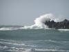 Le Cotentin en juillet