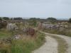 Le Cotentin en juillet