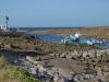 Le Cotentin août 2025