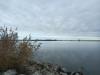 Balades en champagne Novembre 2025