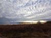 Balades en champagne Novembre 2025