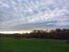 Balades en champagne Novembre 2025