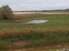 Balades en champagne Novembre 2025