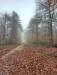 Balades en champagne Novembre 2025