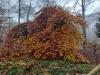 Balades en champagne Novembre 2025