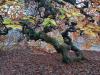 Balades en champagne Novembre 2025
