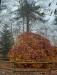 Balades en champagne Novembre 2025