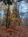 Balades en champagne Novembre 2025