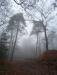 Balades en champagne Novembre 2025