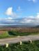 Balades en champagne Novembre 2025