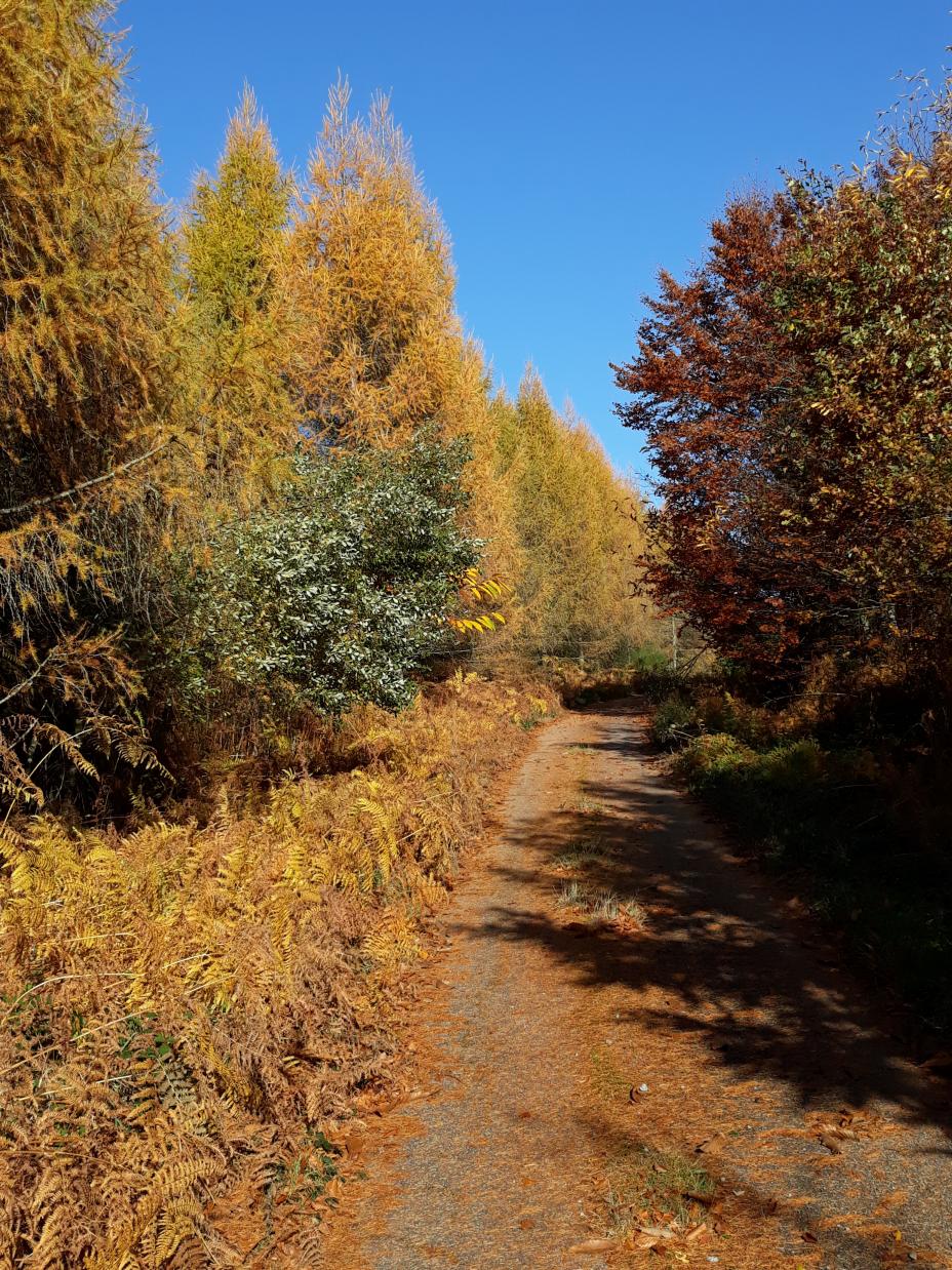 Balade en limousin