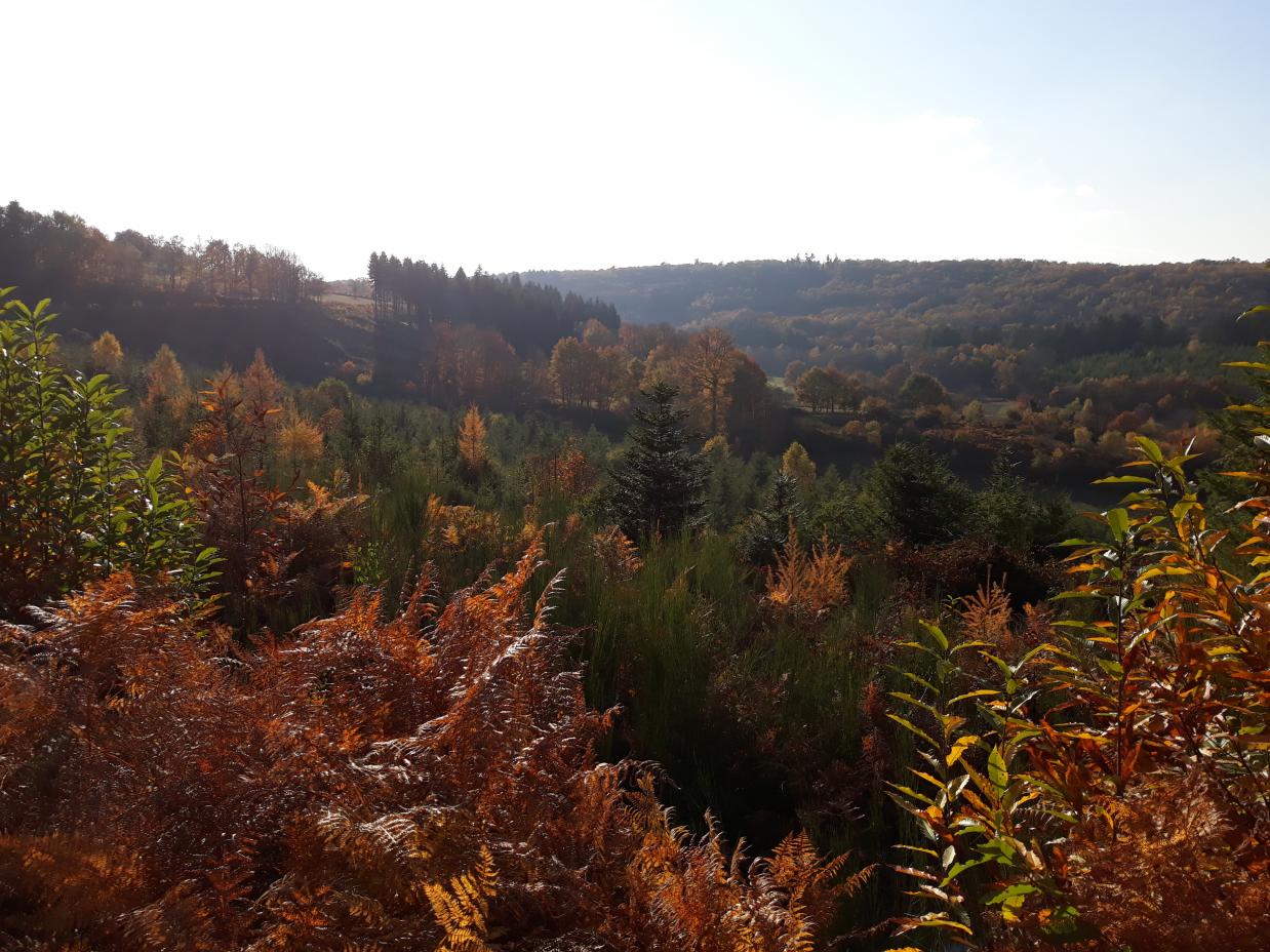 Balade en limousin