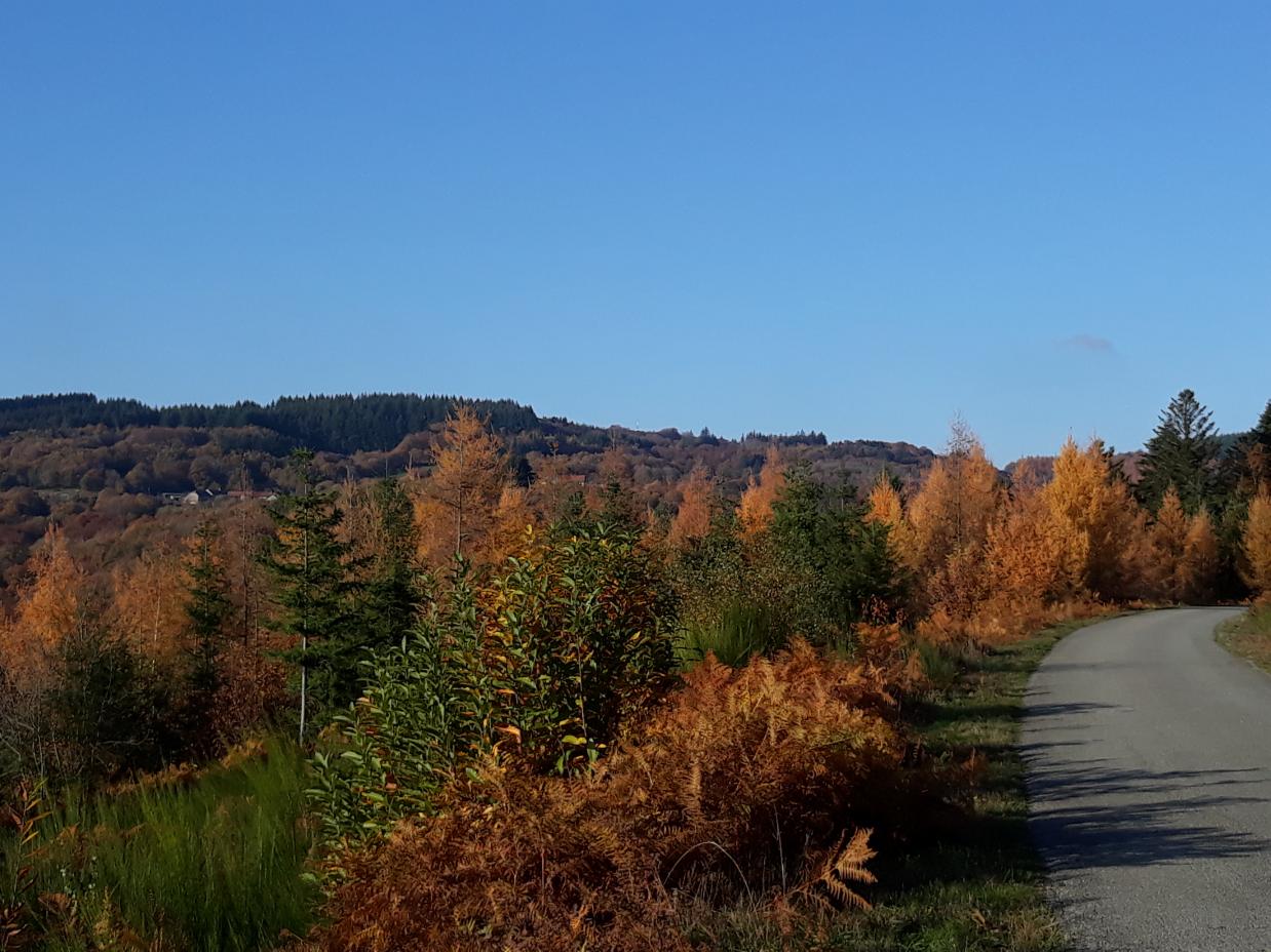 Balade en limousin