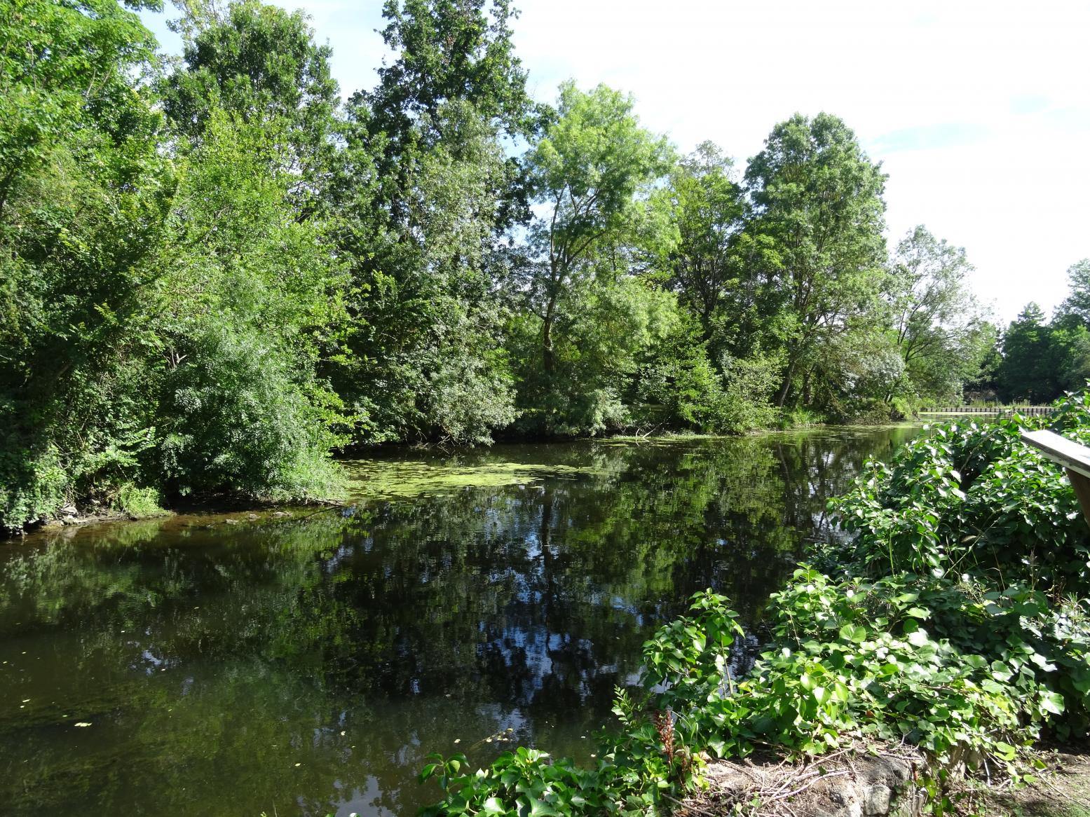 001- Balade en Val de Loire