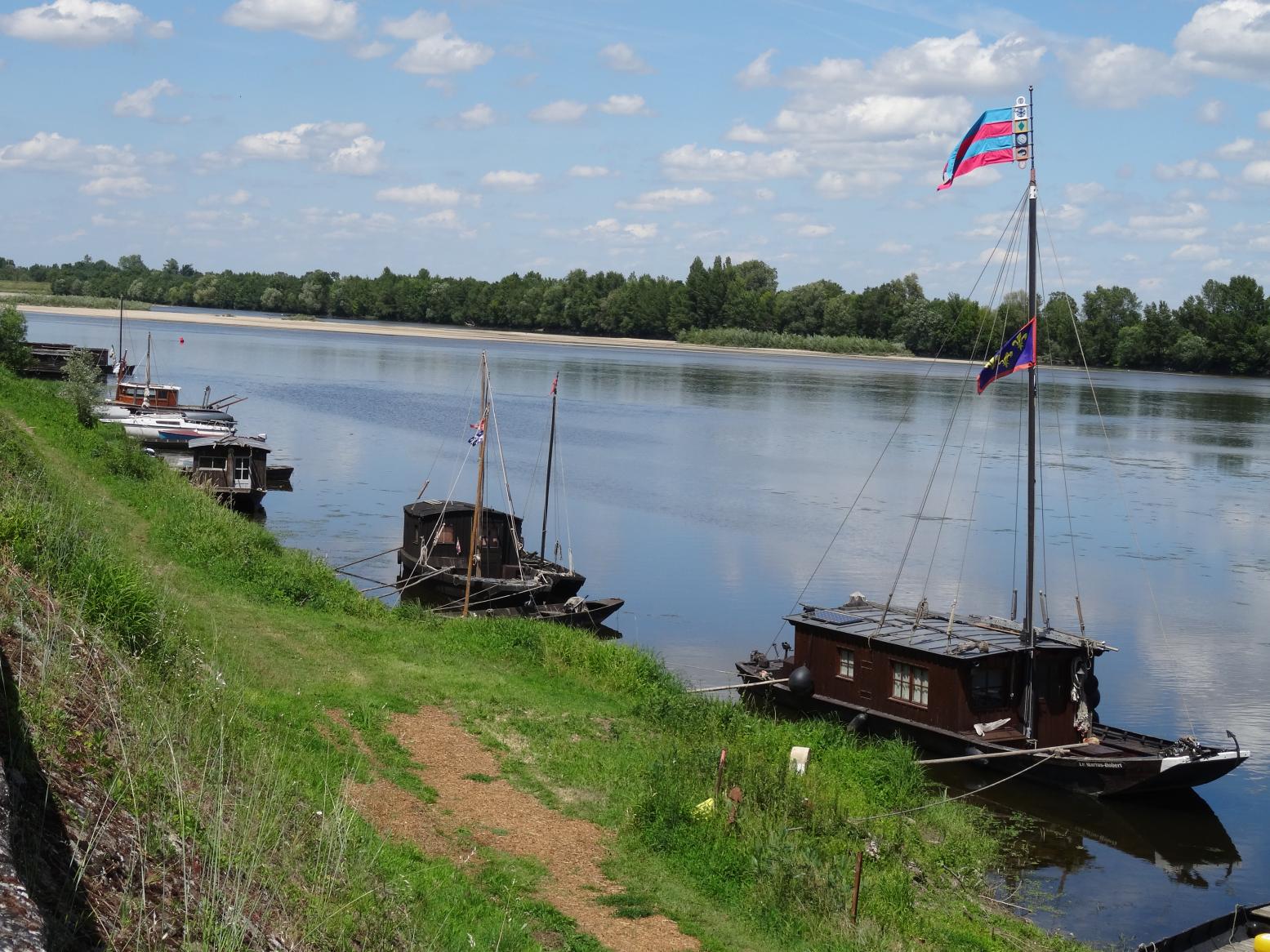 Balade sur les rives de la Loire (Vallée de la Loire)