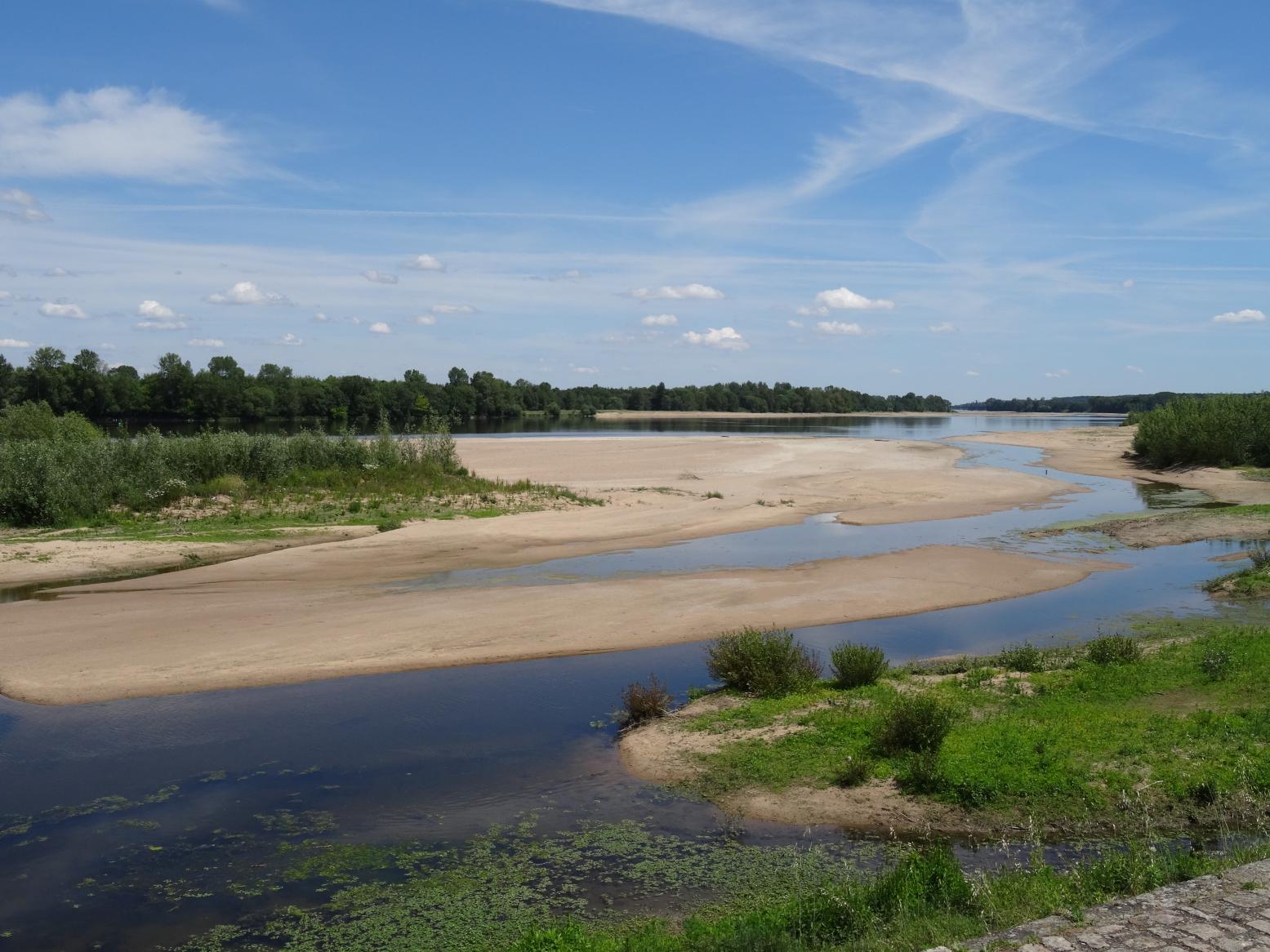 Balade sur les rives de la Loire (Vallée de la Loire)