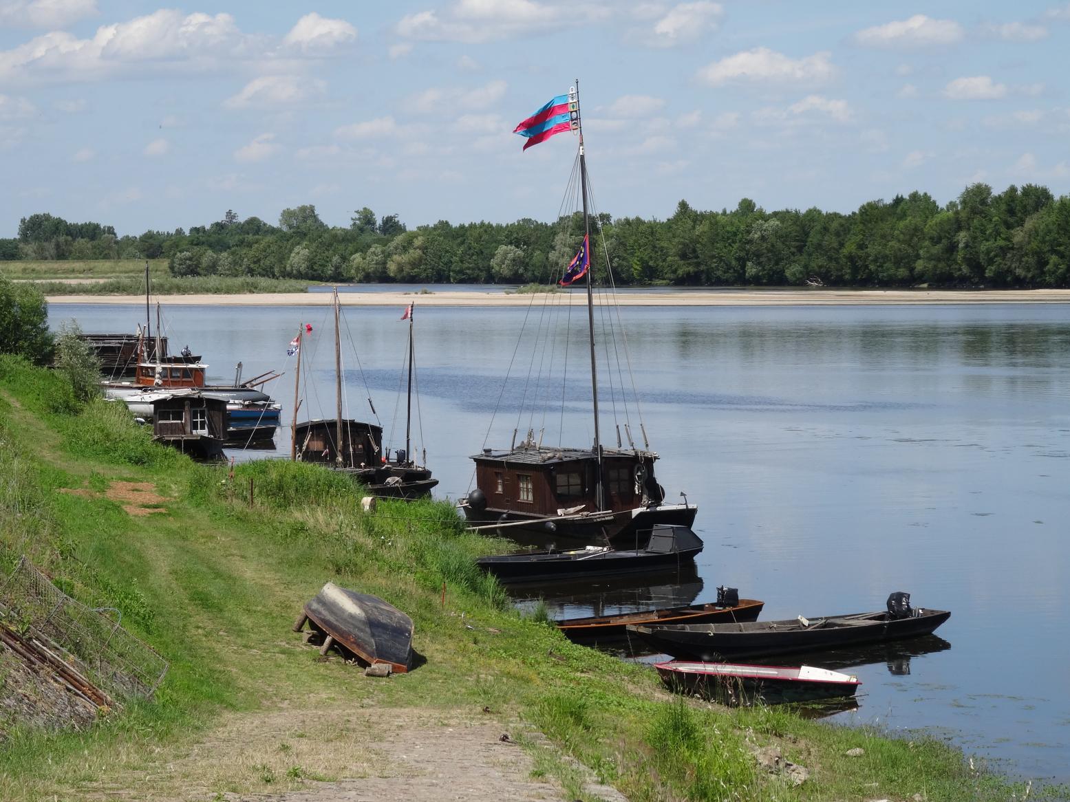 Balade sur les rives de la Loire (Vallée de la Loire)