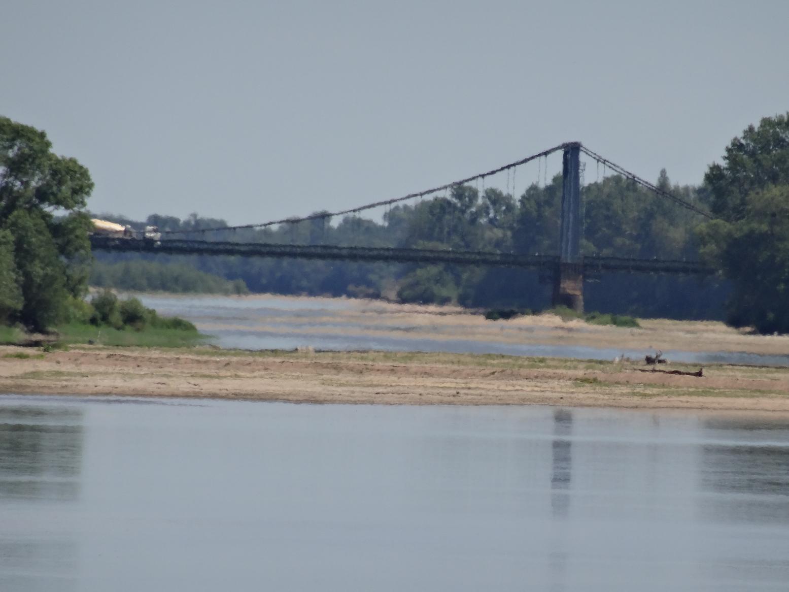 Balade sur les rives de la Loire (Vallée de la Loire)