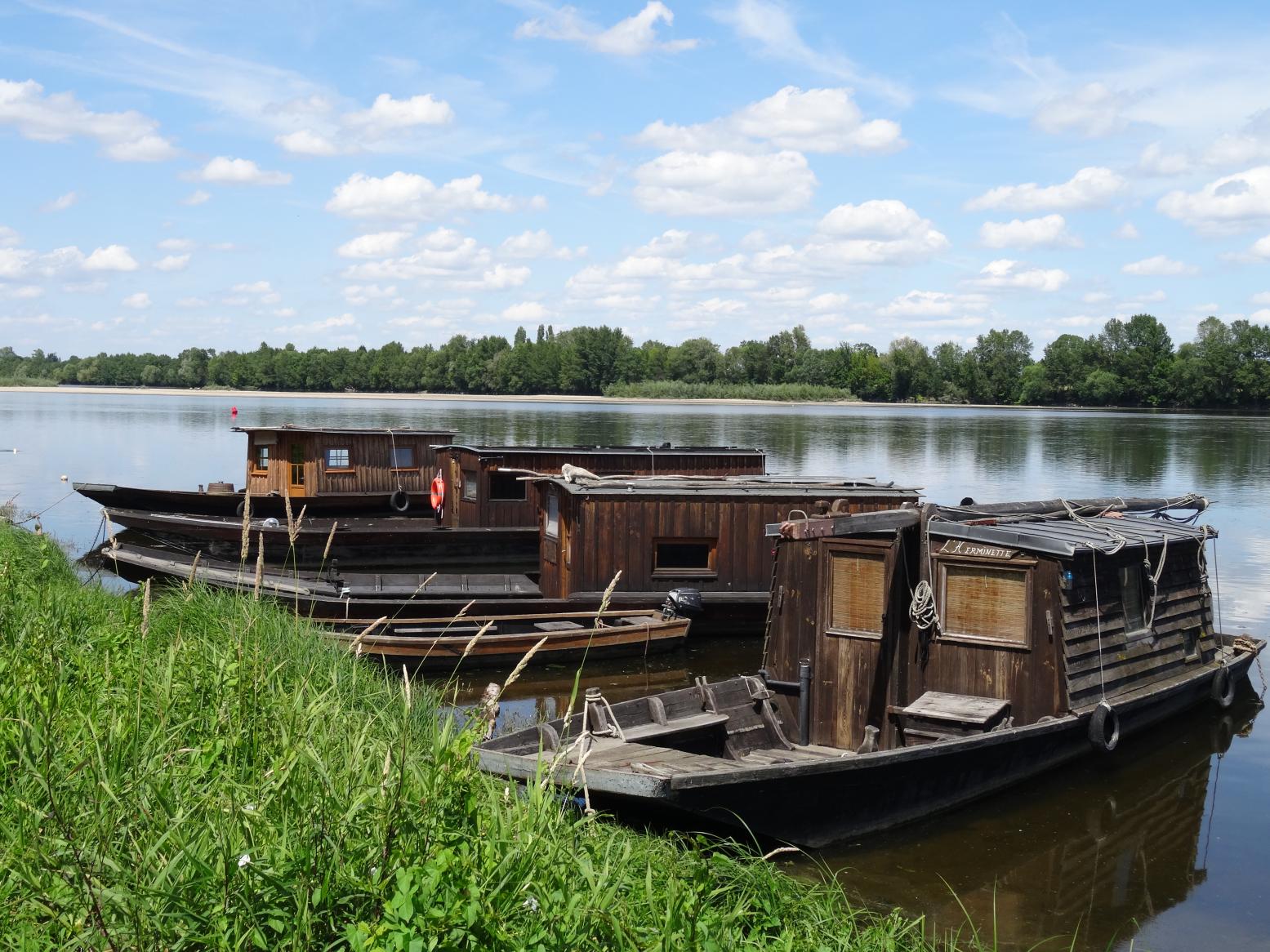Balade sur les rives de la Loire (Vallée de la Loire)