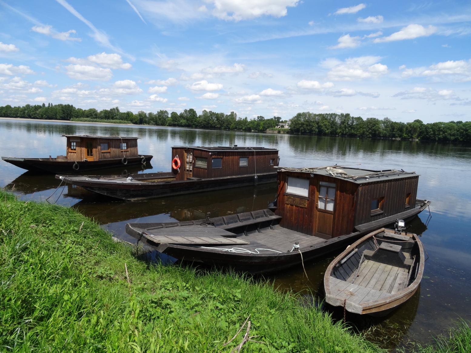 Balade sur les rives de la Loire (Vallée de la Loire)