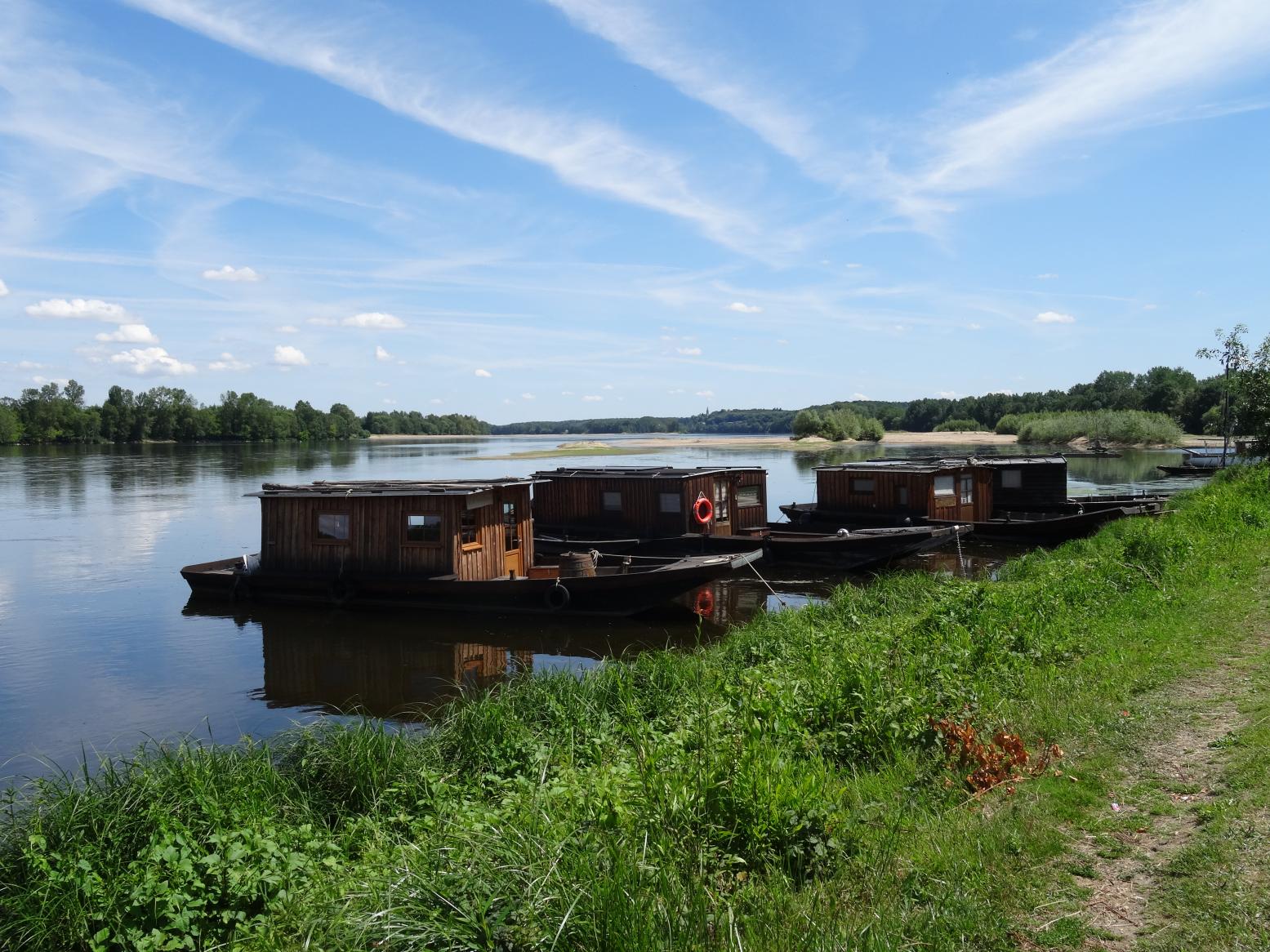Balade sur les rives de la Loire (Vallée de la Loire)