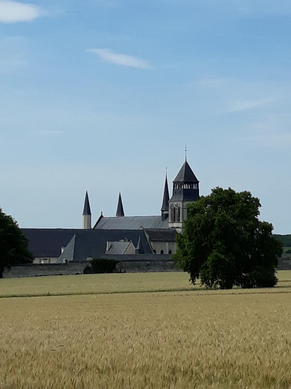 L'Abbaye de Fontevraud et ses alentours