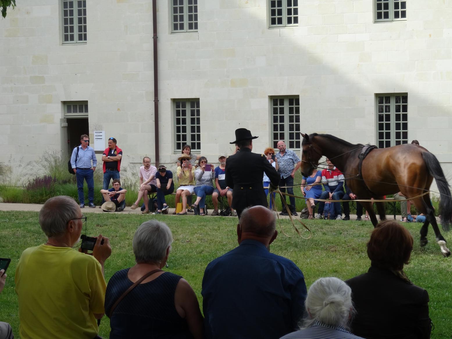 L'Abbaye de Fontevraud et ses alentours
