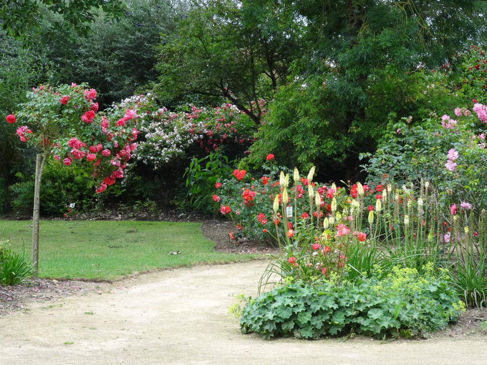 Les Chemins de la Rose (Val de Loire)