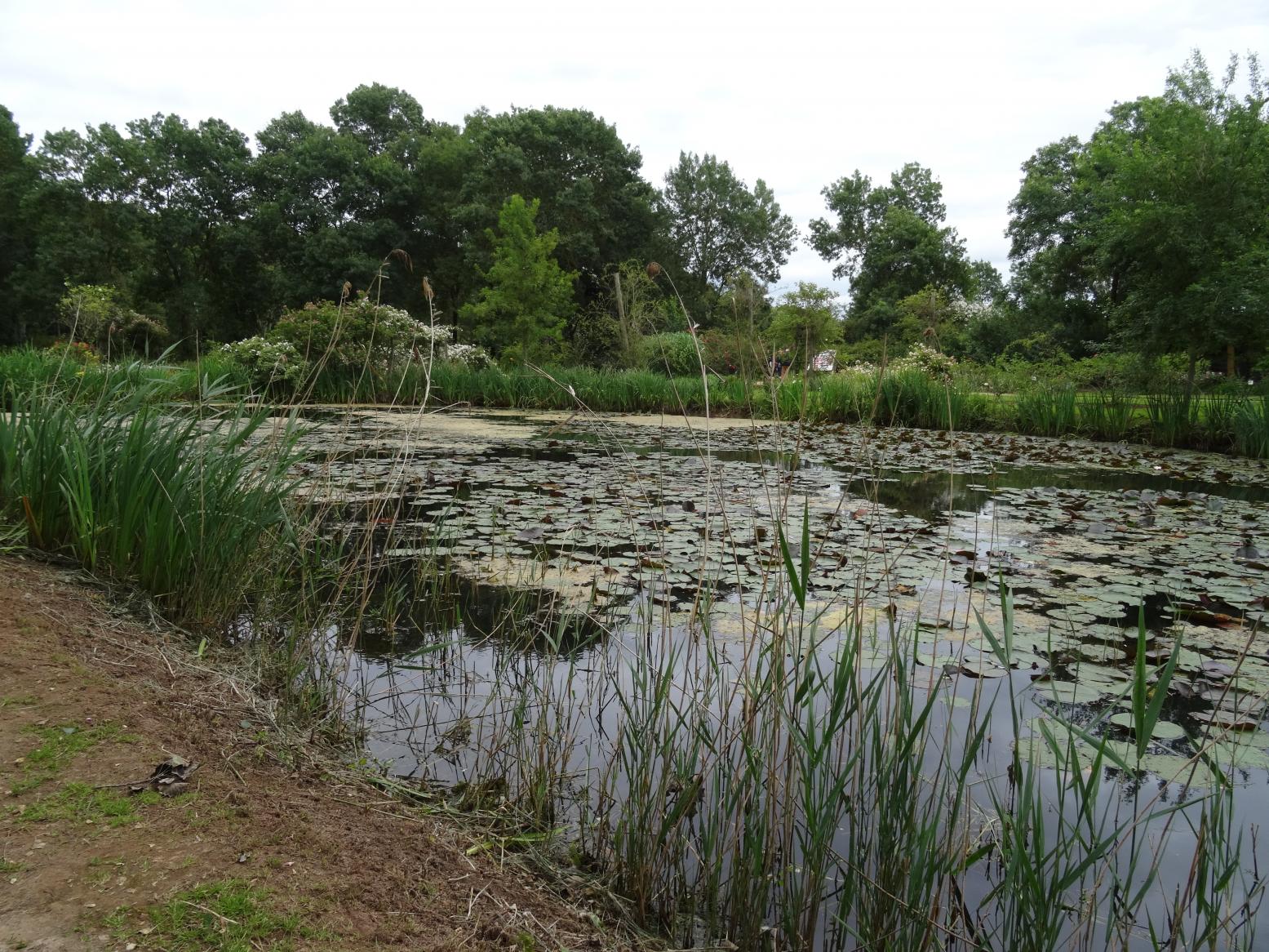 Les Chemins de la Rose (Val de Loire)