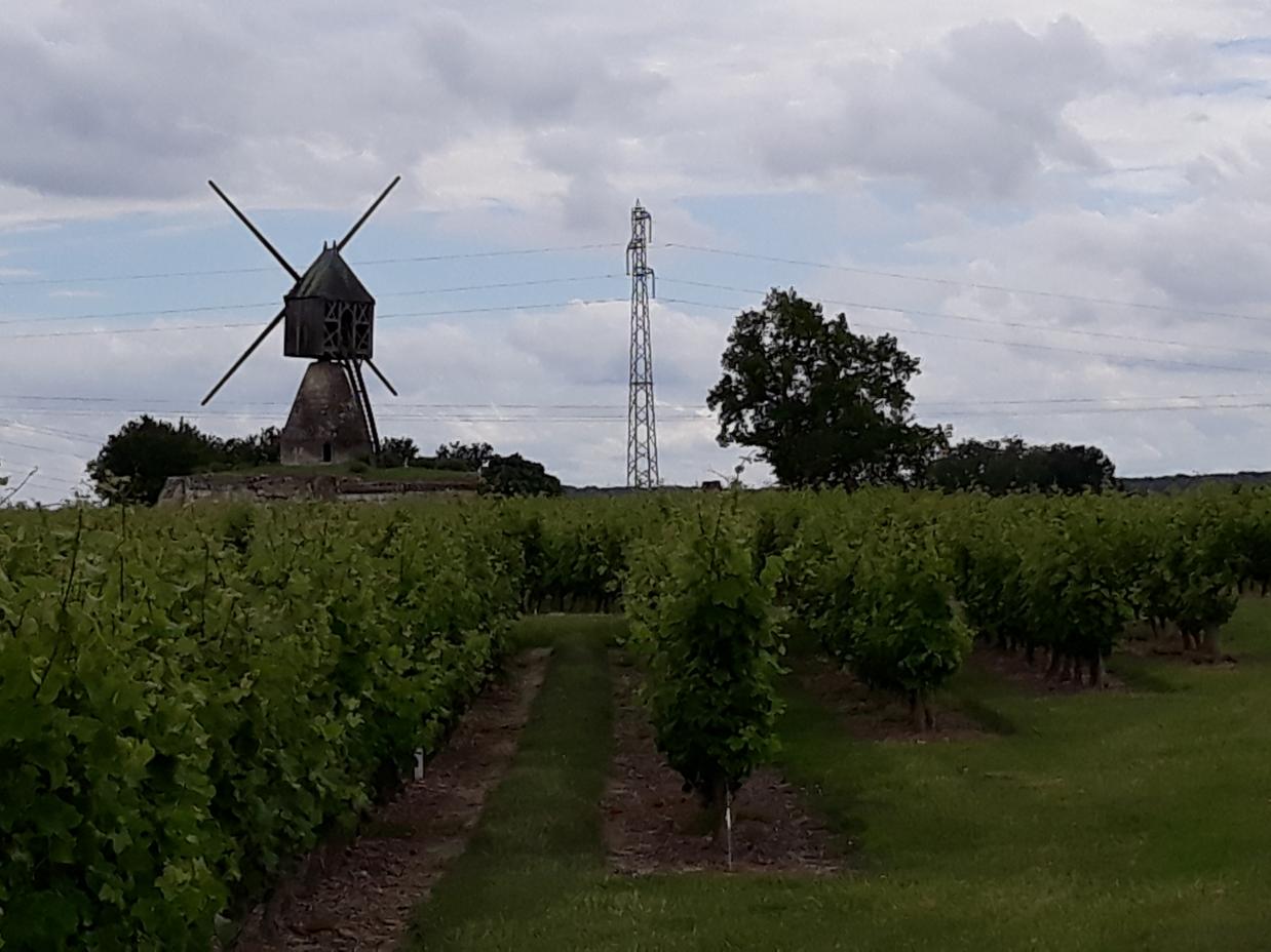 Montsoreau (Val de Loire)