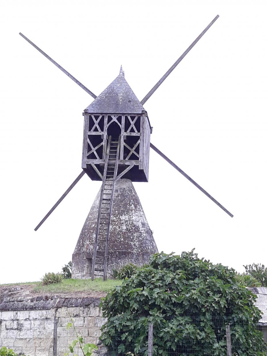 Montsoreau (Val de Loire)