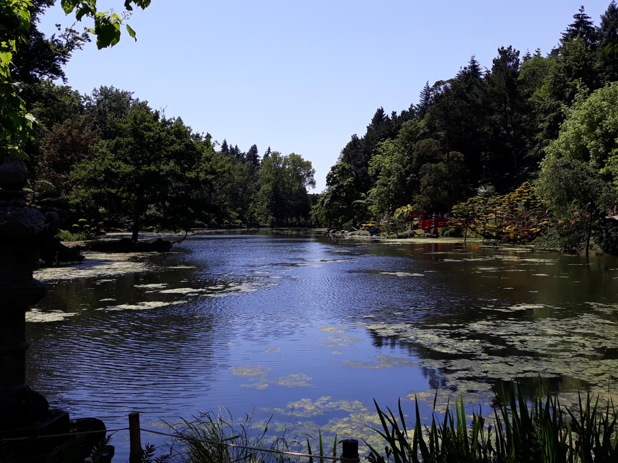 Parc Oriental de Maulévrier