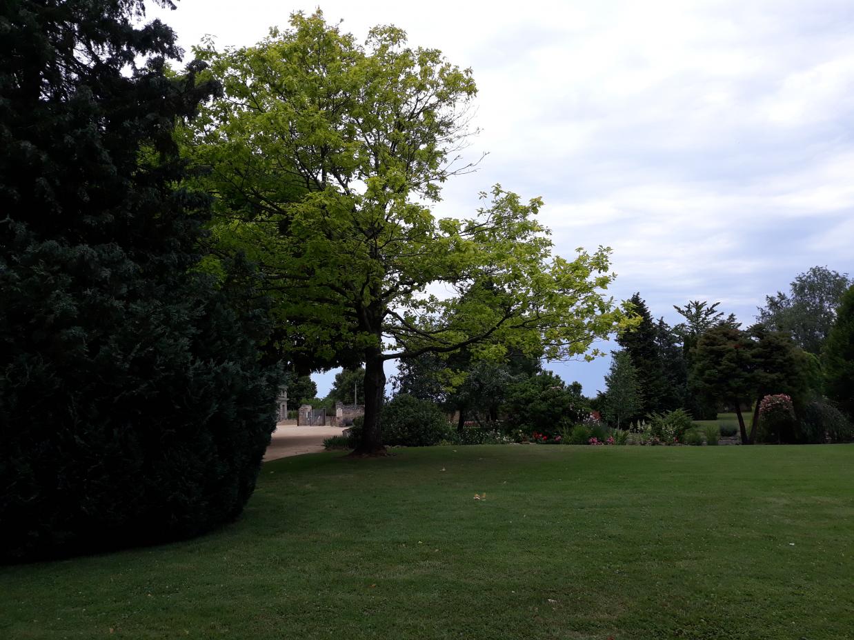 Roseraie Foulon (Val de Loire)