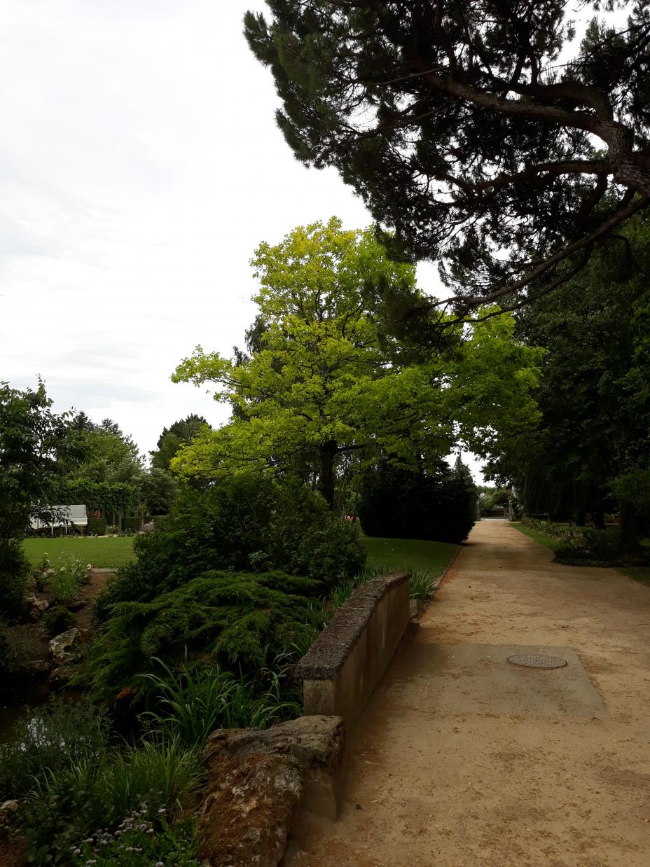 Roseraie Foulon (Val de Loire)