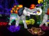 Gaillac 2019 deuxième partie